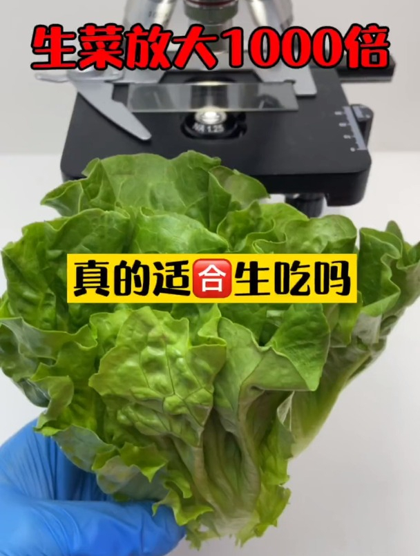 你喜欢用生菜包烤肉吃吗