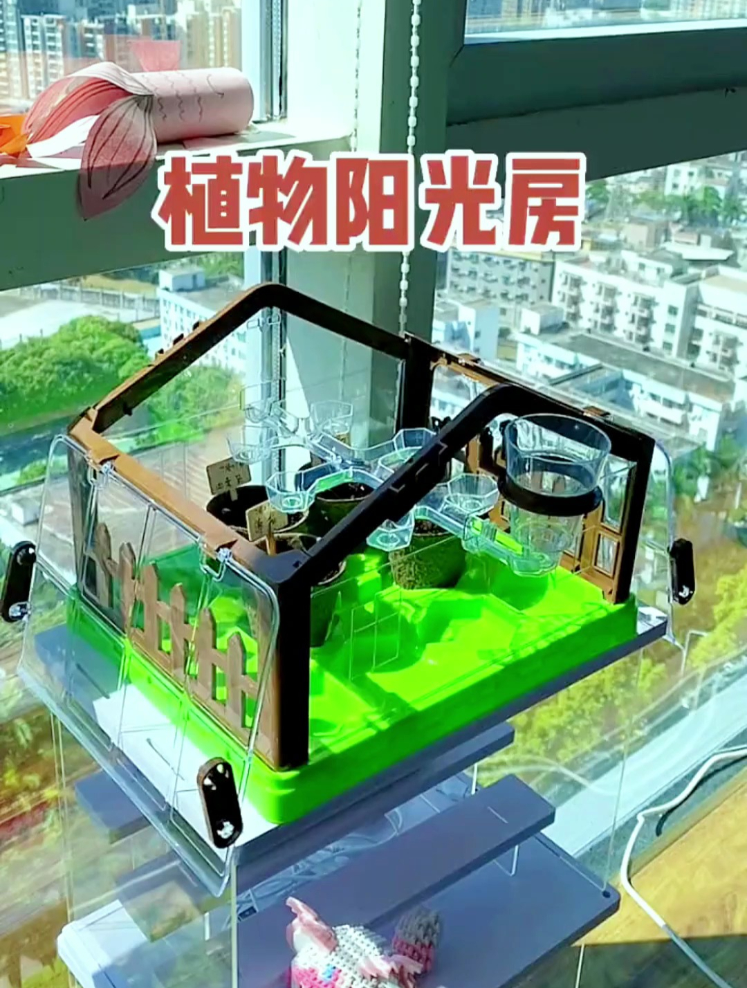 和孩子一起种菜吧,亲手播种,让孩子近距离观察植物生长过程