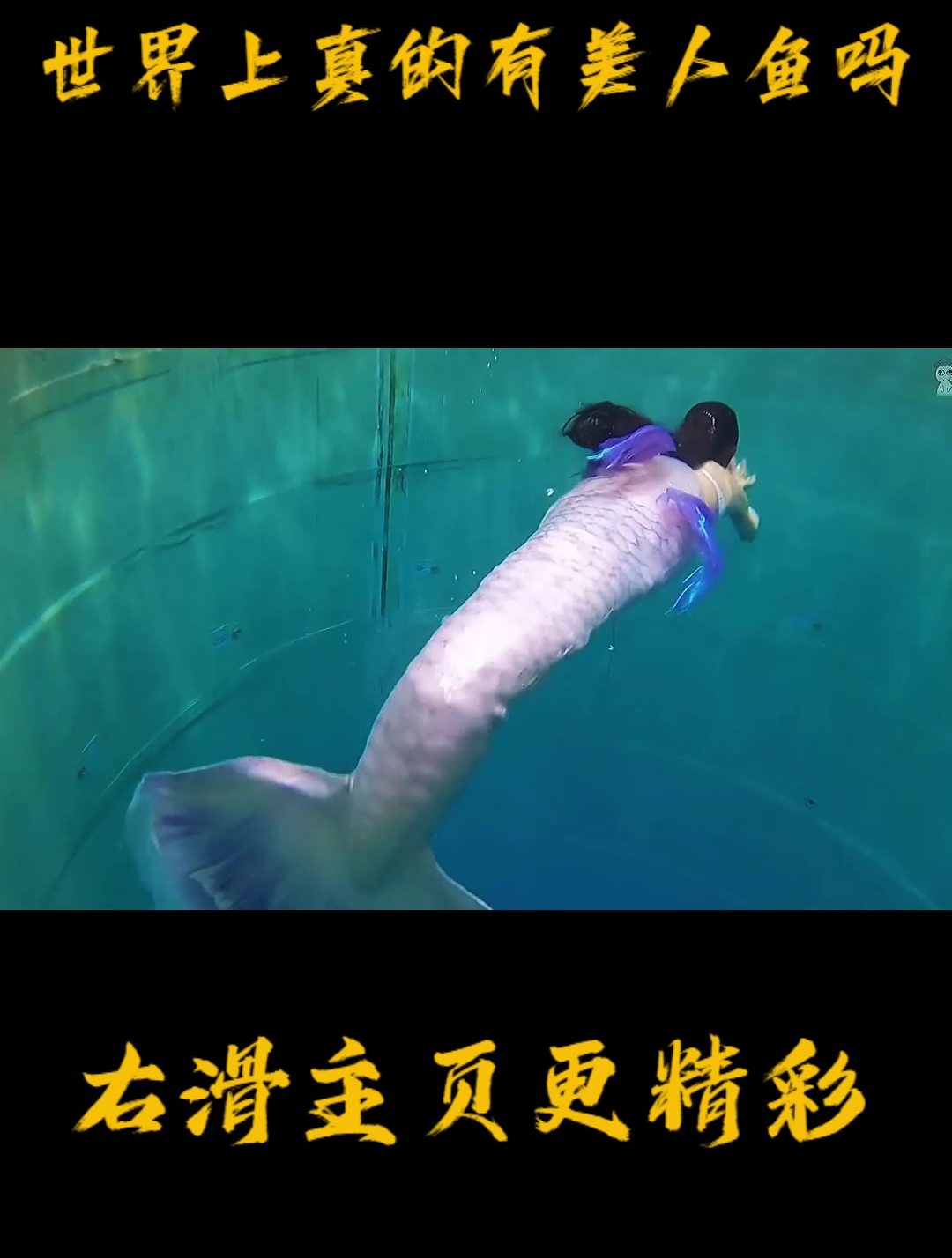 世界上真的有美人鱼吗?