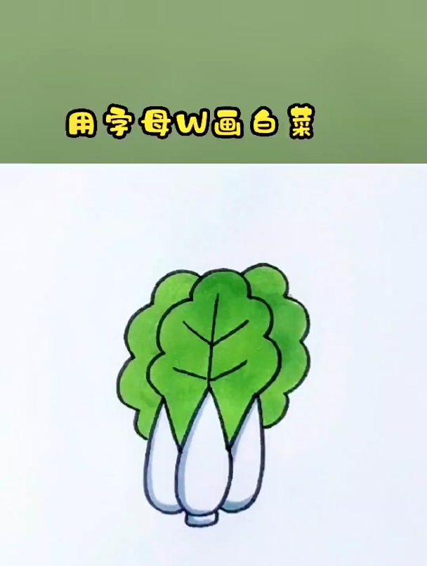 用字母W画大白菜,一学就会的白菜画法