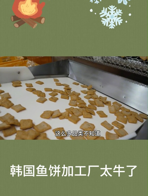 韩国鱼饼加工厂太牛了2