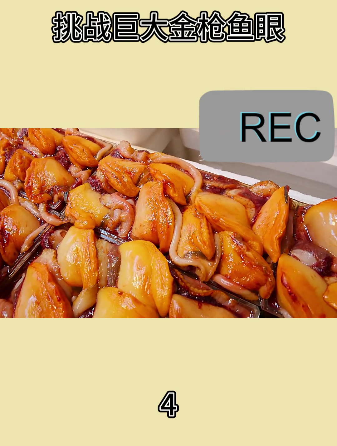 挑战巨大金枪鱼眼4