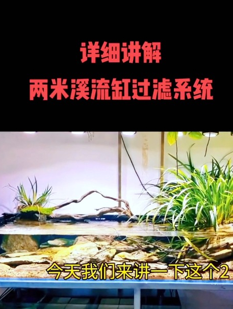 什么是底滤?浅谈下鱼缸底滤的原理,希望大家会有更深层次的了解