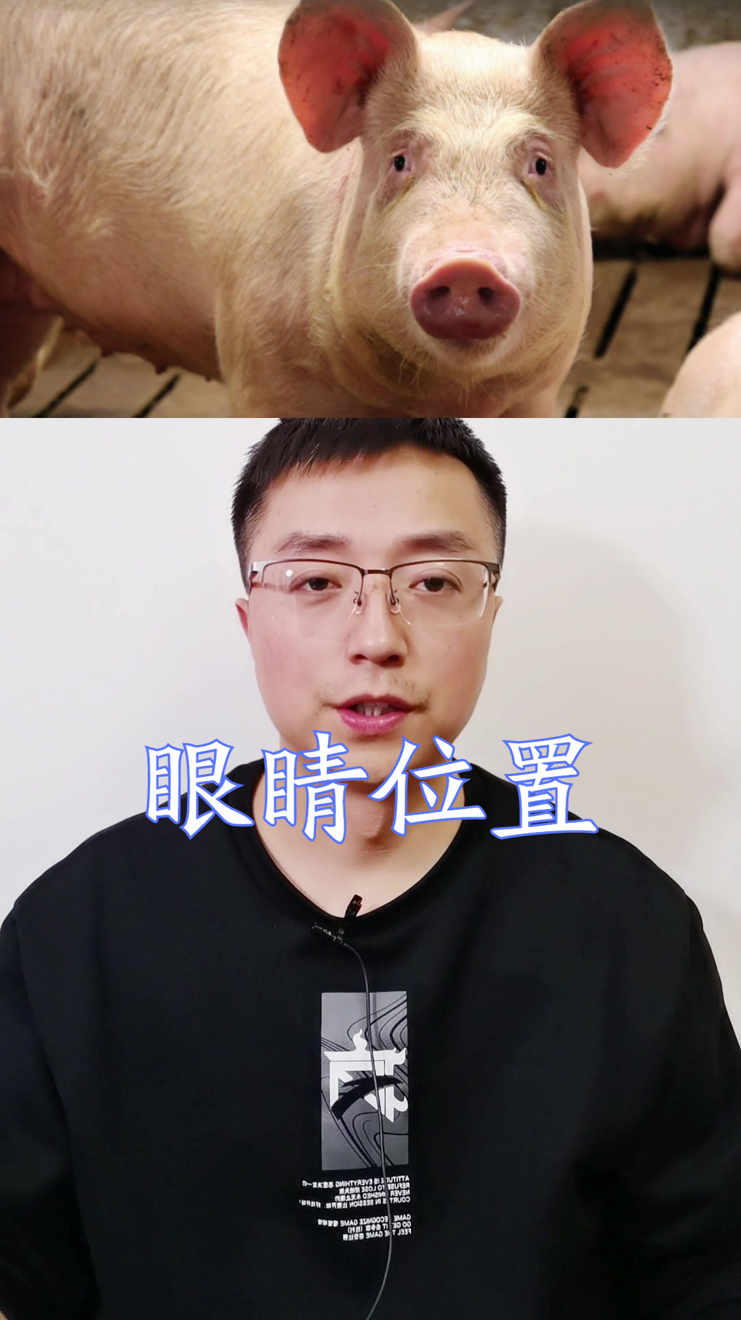 食肉动物的眼睛为啥长在了脸的前面?食草动物的眼睛却在两侧?