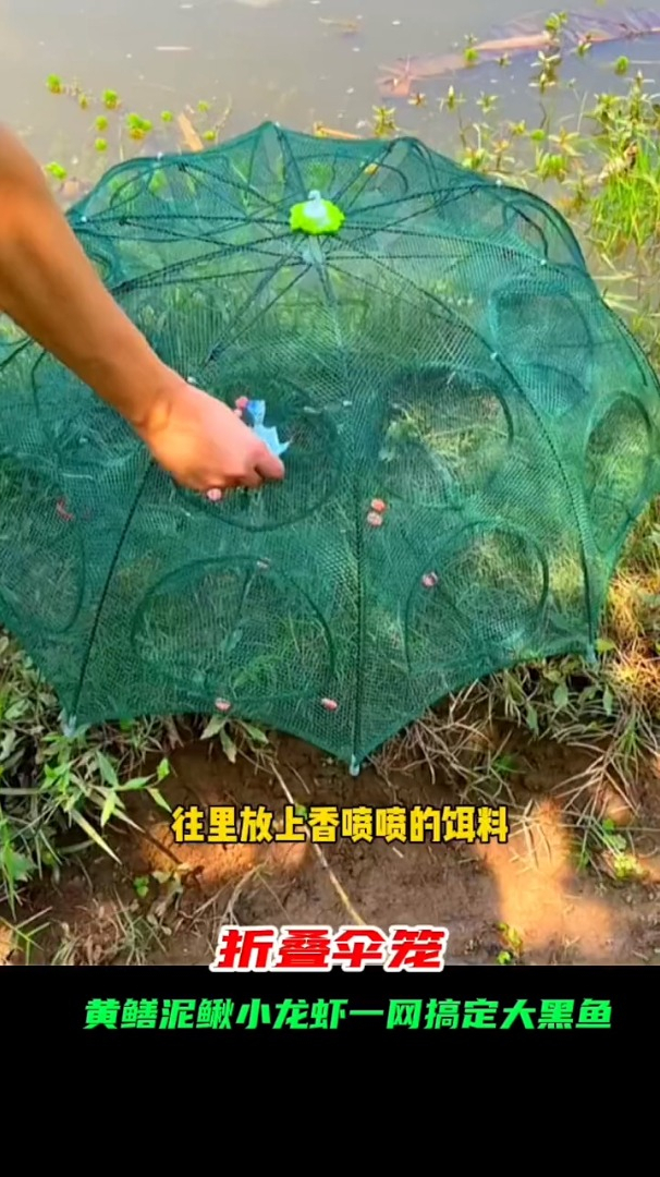 这样的折叠伞笼,让你不得不爱,轻松捕鱼!