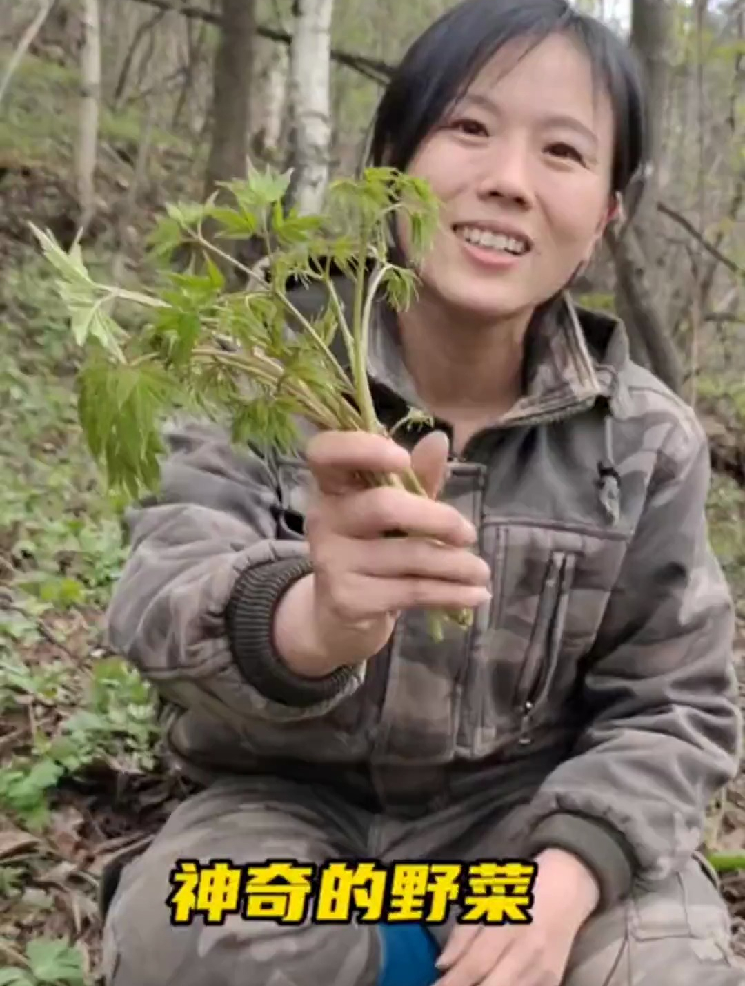 东北大山里有一种野菜,采时候没有味道,过水后却有浓浓的杏仁味