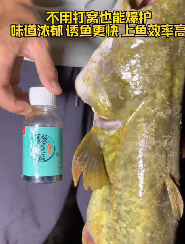 秋冬钓鲶鱼用什么饵料?盘点鲶鱼最喜欢的饵料,老钓友推荐!