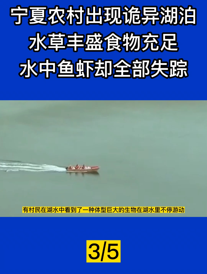 宁夏农村出现诡异湖泊,水草丰盛食物充足,水中鱼虾全部失踪?3