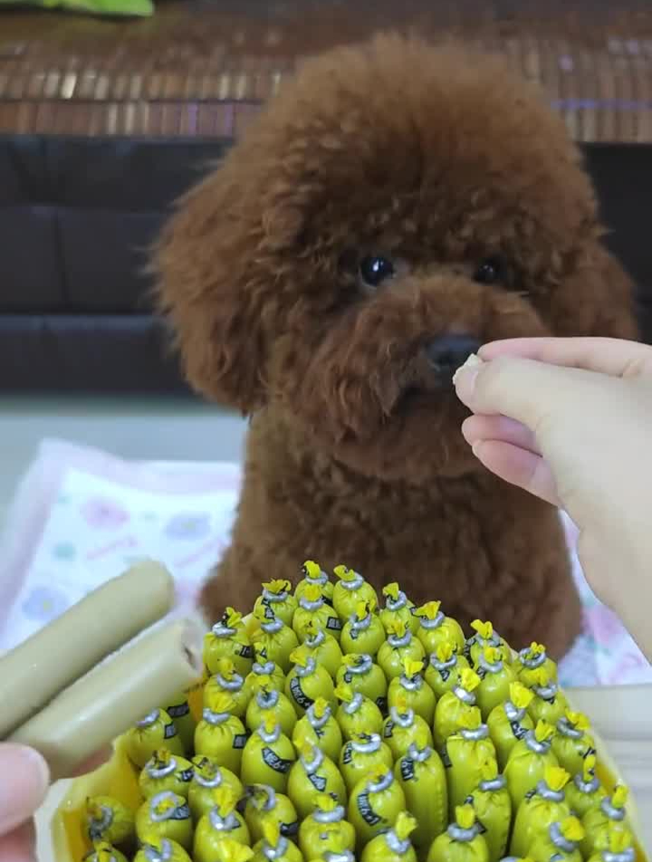 佩妮61鲜肉火腿肠一袋60根犬猫通用好吃的停不下来
