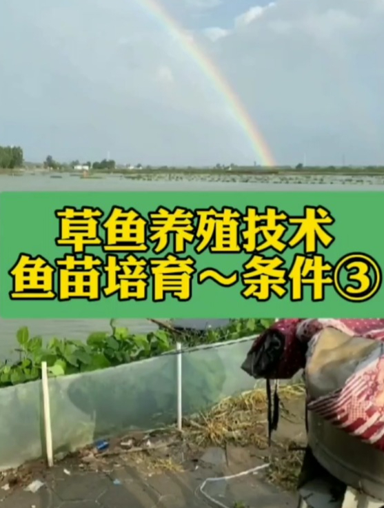 水产养殖想要成功的首要条件是什么你知道吗?水产养殖技术