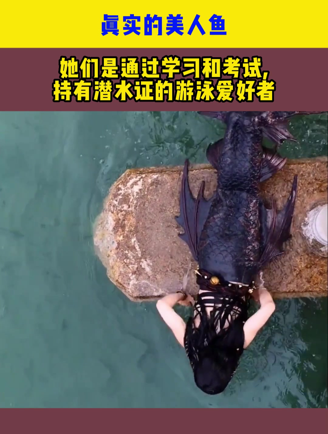 真实的美人鱼,她们是通过学习和考试,持有潜水证的游泳爱好者