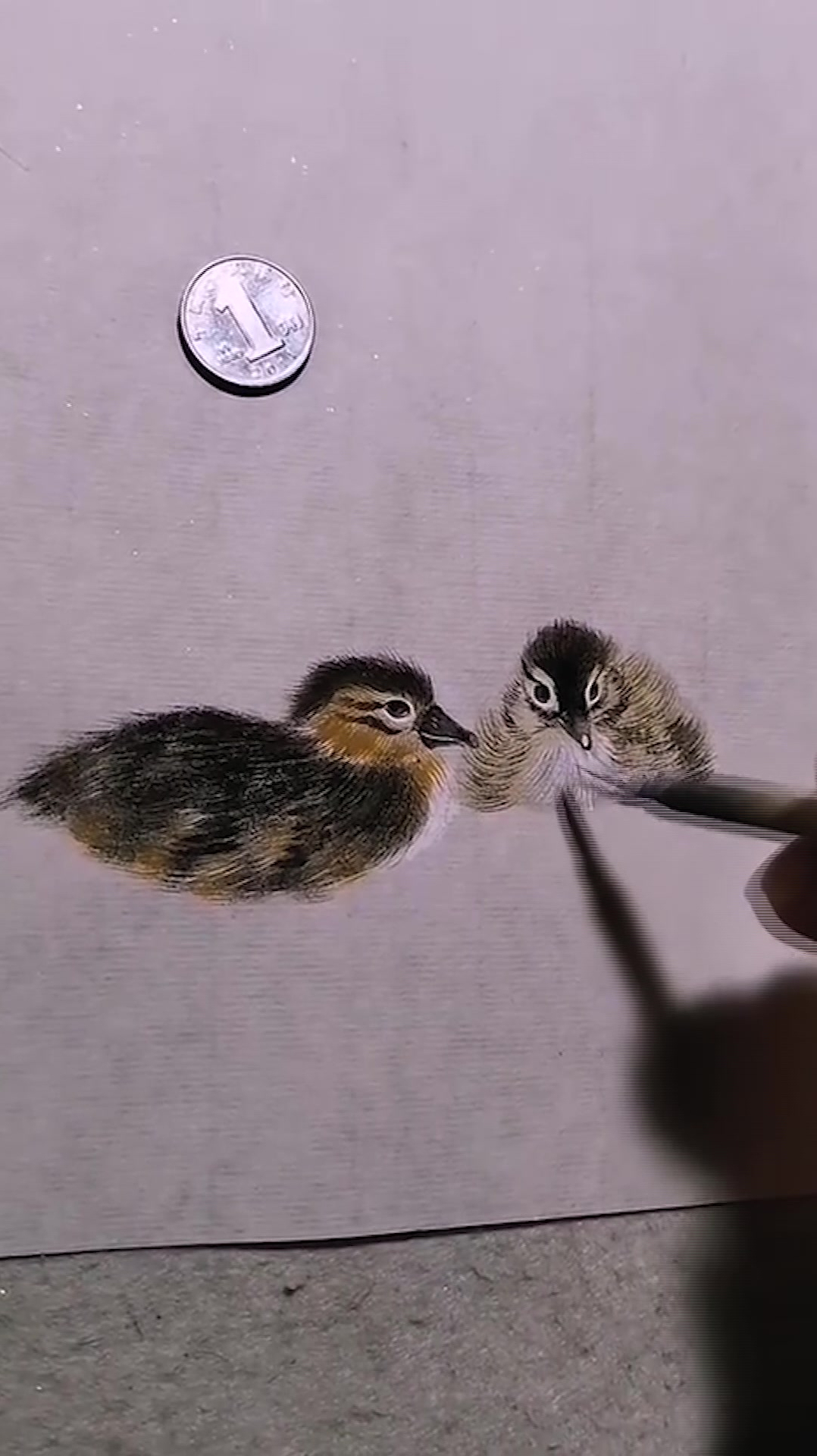 画一对小鸭子!