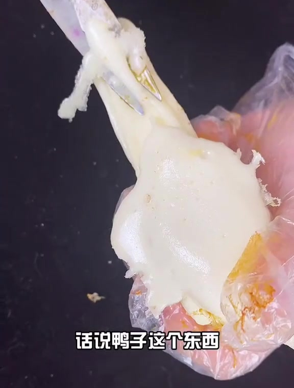 美食模型 食品模型