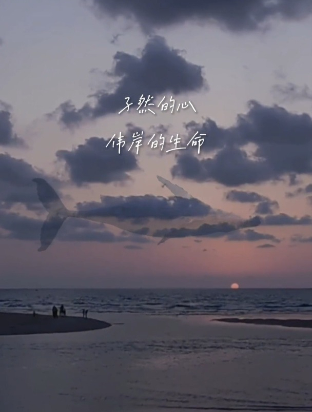 或许我们都是52赫兹的鲸