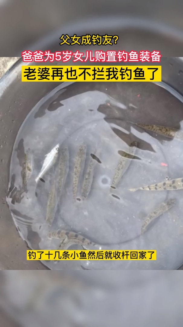 父女成钓友?爸爸为5岁女儿购置钓鱼装备。老婆再也不拦我钓鱼了(直播日照)