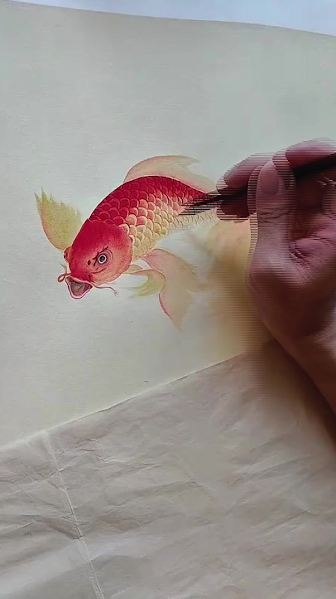 画一条霸气的蝴蝶锦鲤鱼