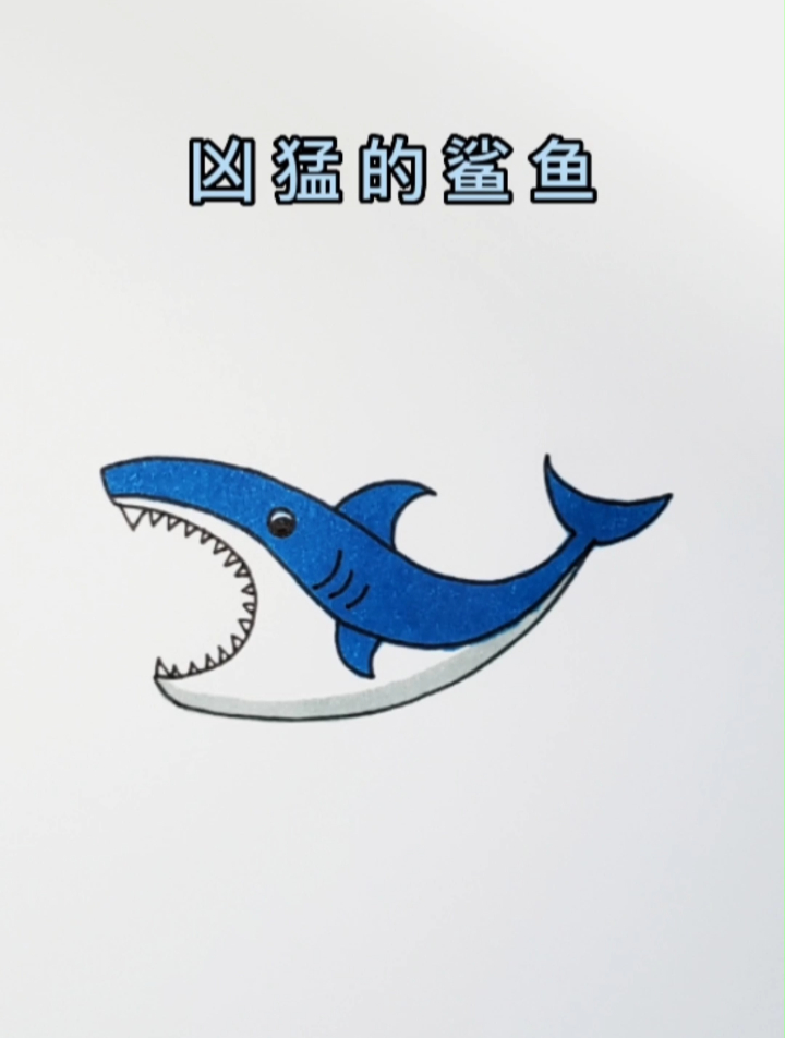 凶猛的鲨鱼简笔画