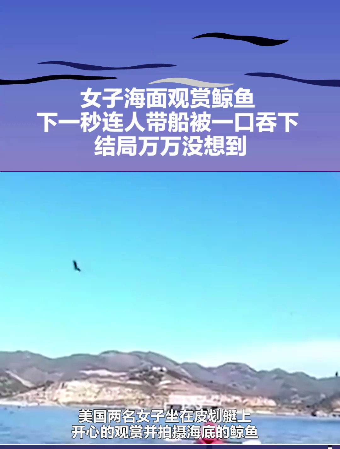 女子海面观赏鲸鱼下一秒连人带船被一口吞下 结局万万没想到