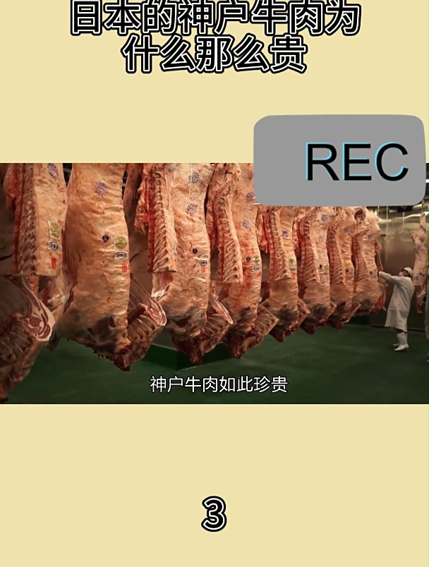 日本的神户牛肉为什么那么贵3