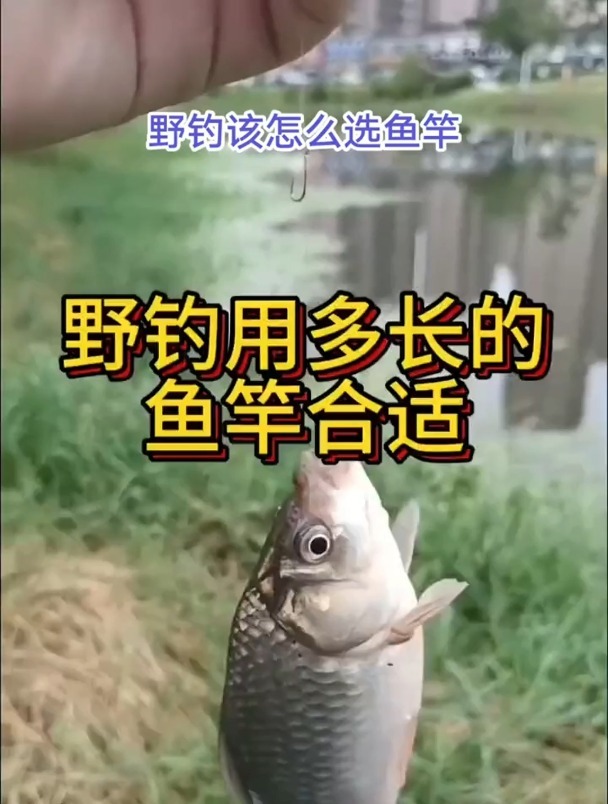 野钓鱼竿应该买多长?只有这几种才是“黄金尺寸”!