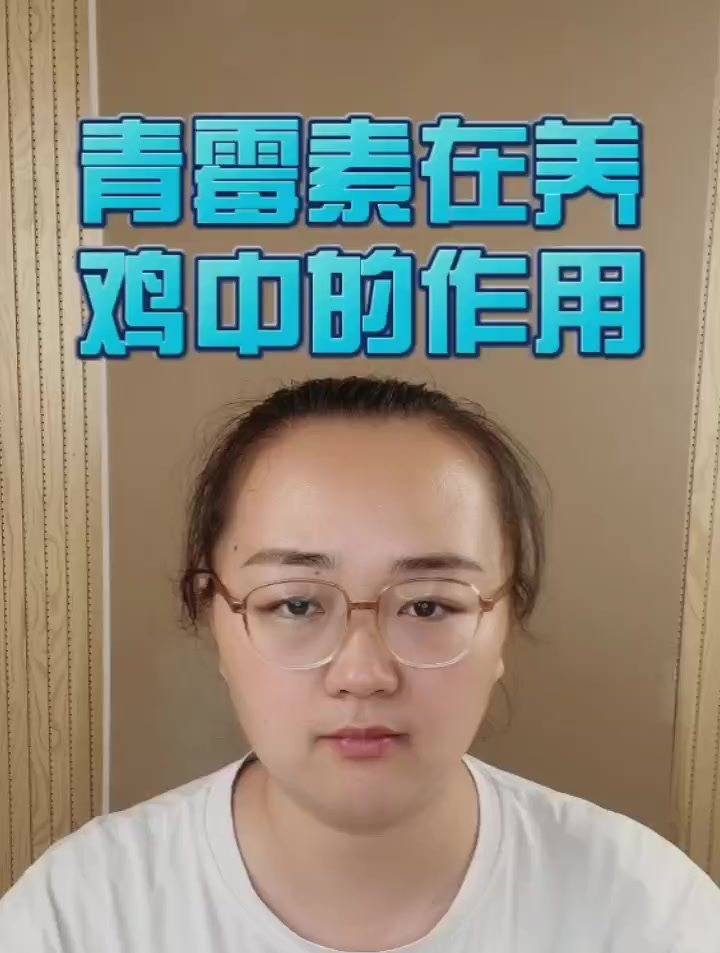 青霉素在养鸡中有哪些作用呢?养鸡青霉素什么时候喂好?