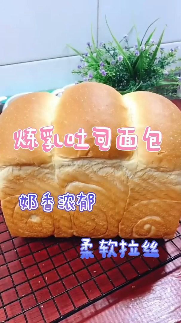 炼乳吐司面包,奶香浓郁还拉丝,喜欢就做起来把!