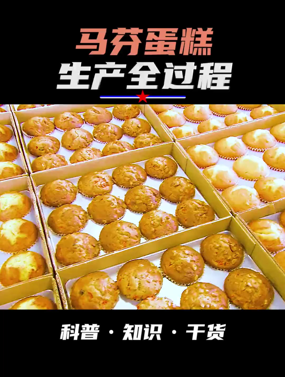 马芬蛋糕还是马粪蛋糕 两分钟走进流水线