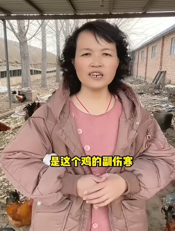 如何看鸡的粪便来区分它的疾病,来看看吧