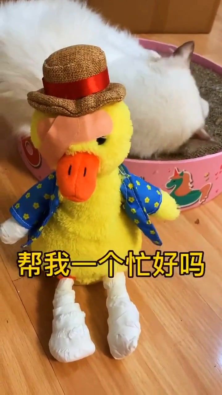 这是我见过最解气的复读鸭了!金句频出!全网最气人的复读鸭!