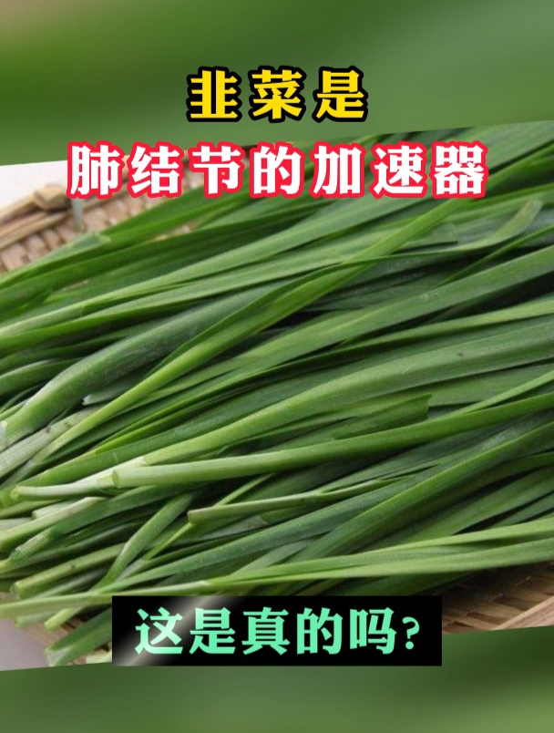 韭菜是肺结节的加速器,这是真的吗?