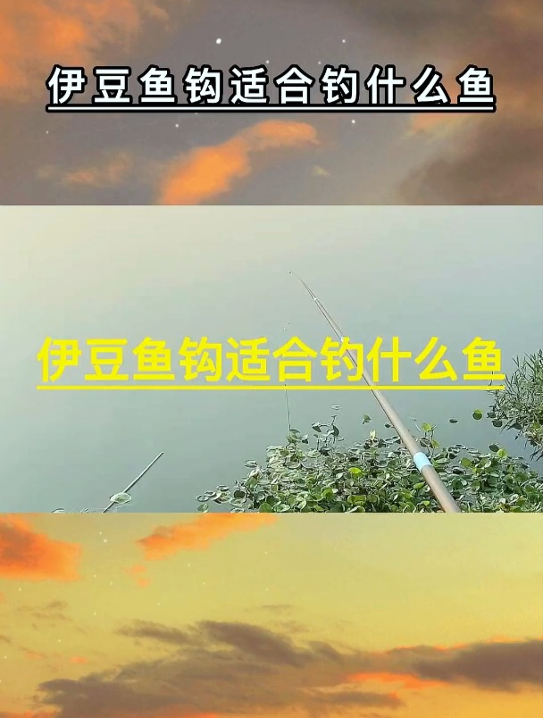 伊豆鱼钩适合钓什么鱼?钓鱼高手为你讲解,让你更加了解伊豆鱼钩