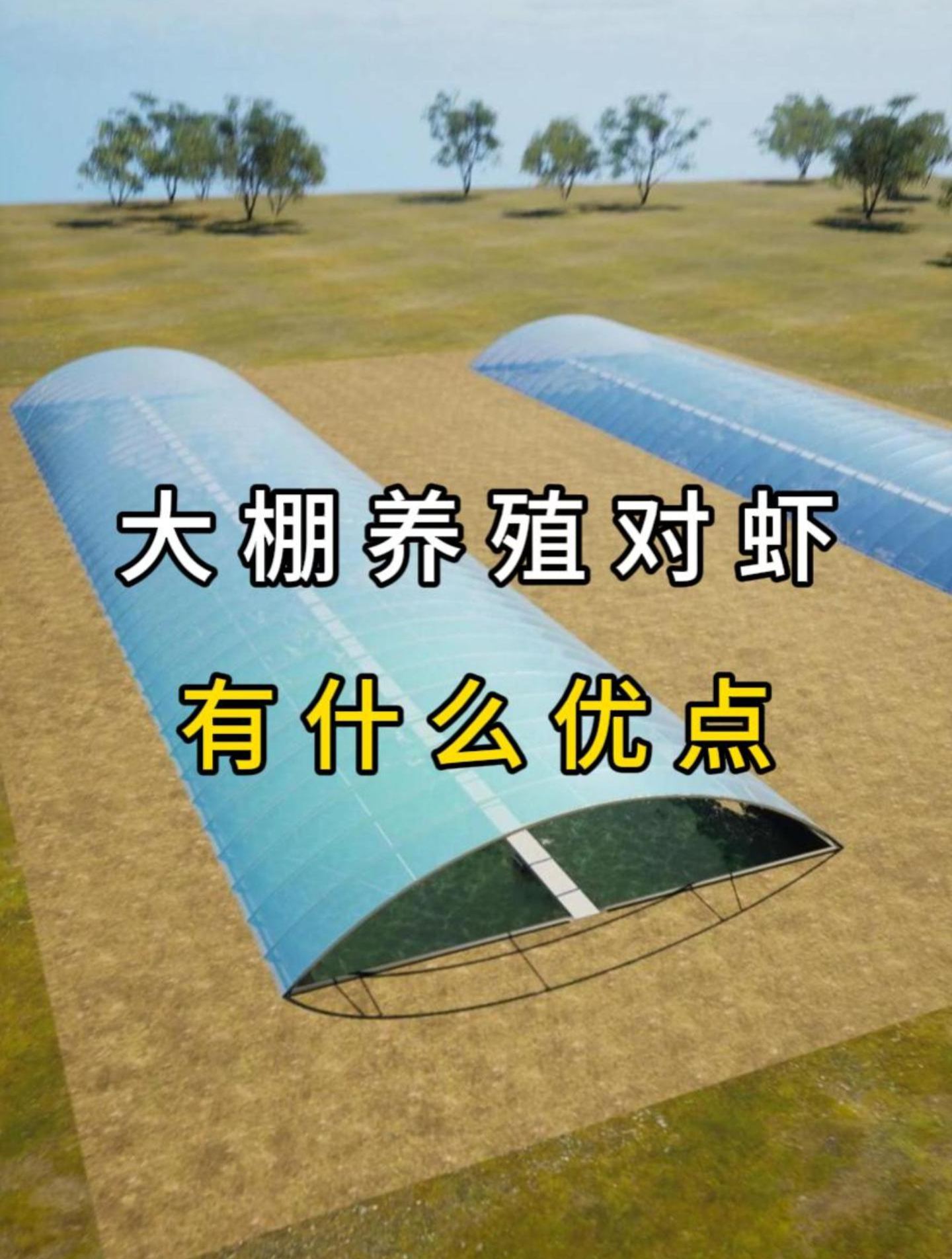 对虾养殖大棚,解决了水温,隔离了病害,寒潮。一年可养两季