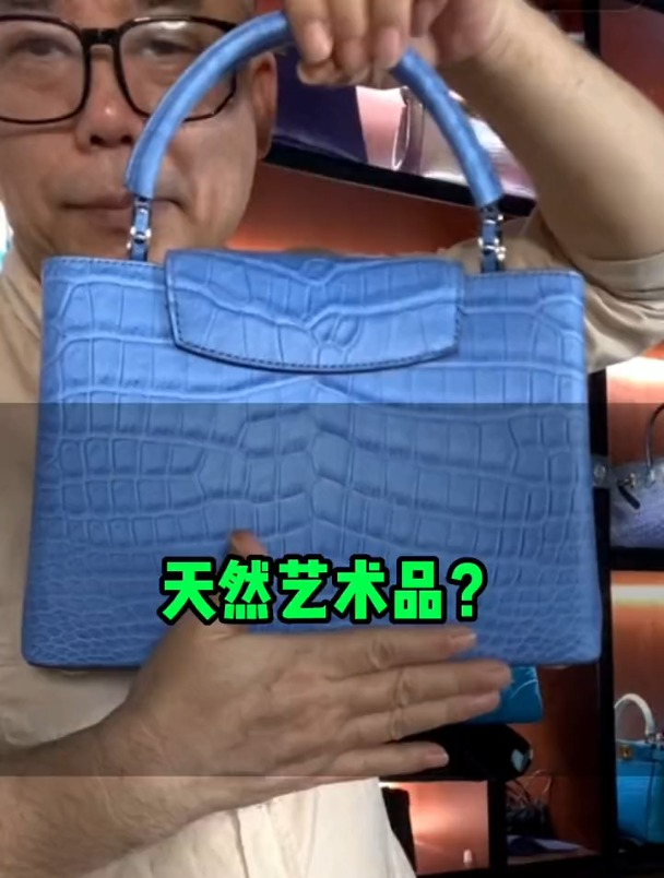 鳄鱼皮纹路细腻,手感柔滑,包包表面微微闪烁,如同星辰般璀璨