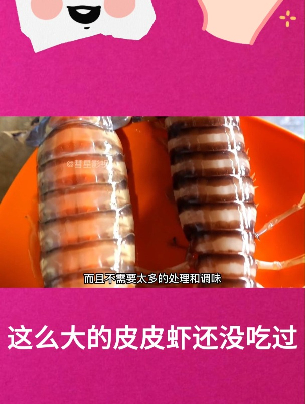 这么大的皮皮虾还没吃过1