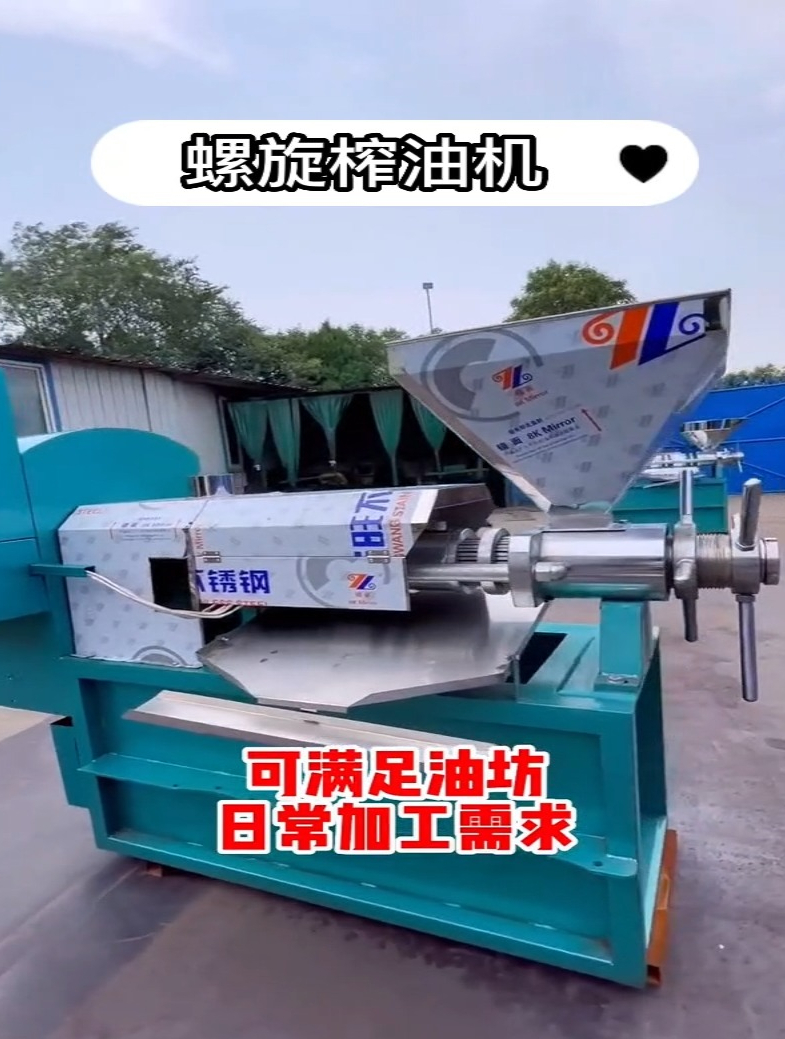 家用油坊榨油机 全自动花生油菜籽榨油机 花生菜籽榨油机