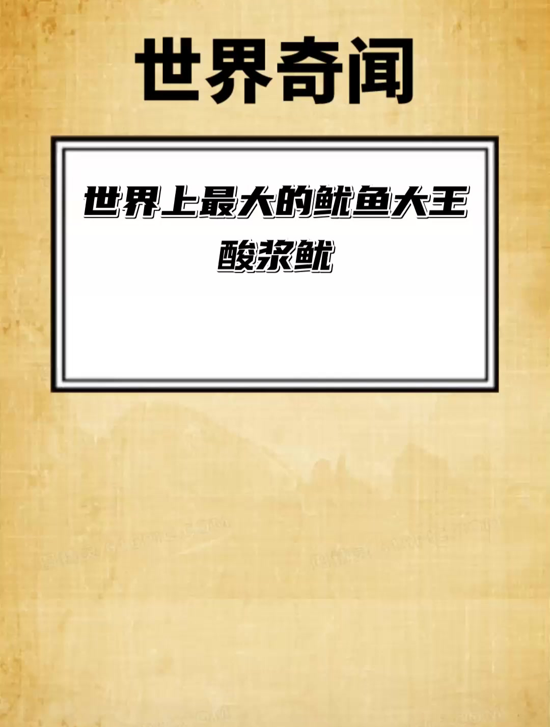 世界上最大的鱿鱼 大王酸浆鱿