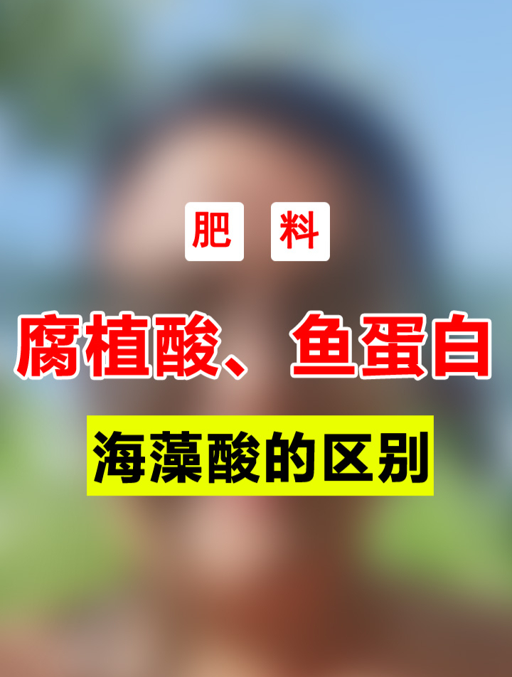 鱼蛋白、海藻酸和腐殖酸,有啥区别,哪个更好,怎样用才更省钱