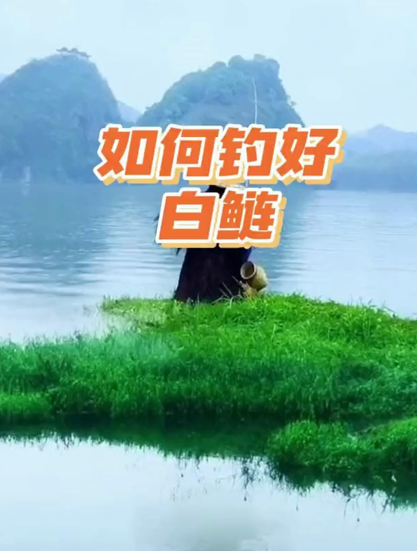 夏季如何垂钓白鲢鱼?除了饵料再黏一点,钩距也别忽略!