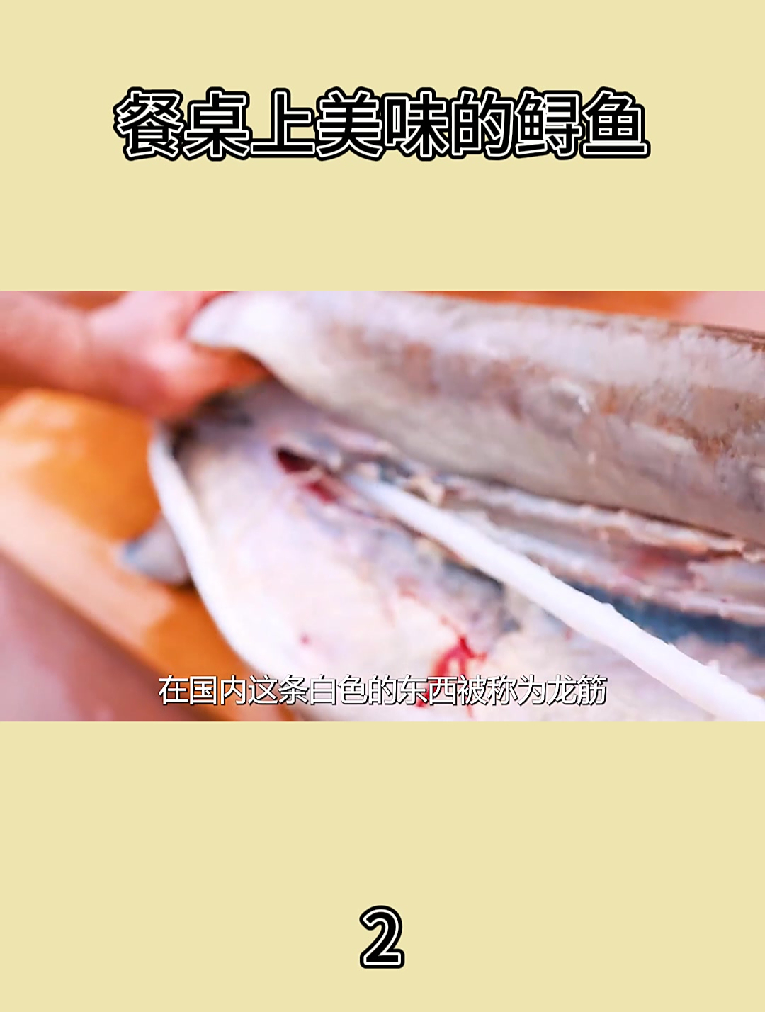 餐桌上美味的鲟鱼2