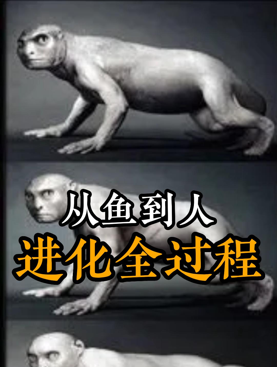 从鱼到人进化的全过程,5亿年的沧海桑田,人类的现在来之不易