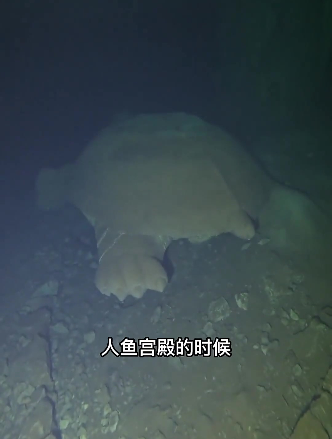 探秘贵州水下人鱼宫殿之谜,第二集,惊现3层楼高大型溶洞!