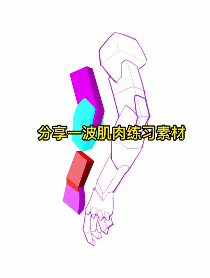 分享一波肌肉素材人体结构画画ps板绘大木画画