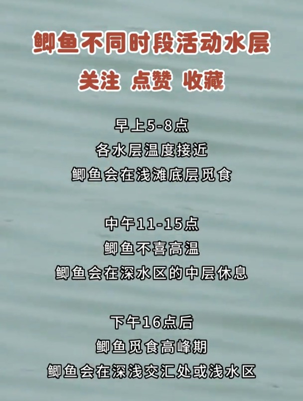 夏季野外钓鱼,搞清鲫鱼一天的活动规律,找对水层就不愁上鱼!