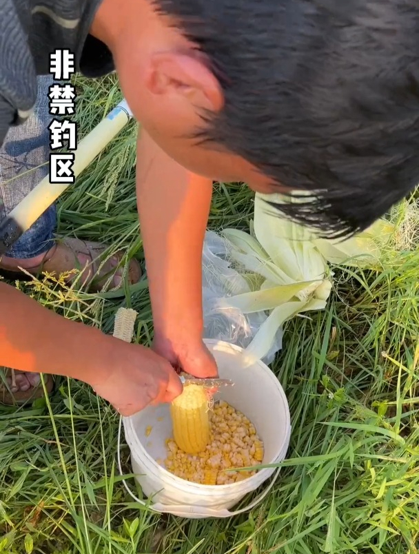 天气太热晒了都脱皮了,上午只钓一条草鱼。记录真实生活钓鱼人户
