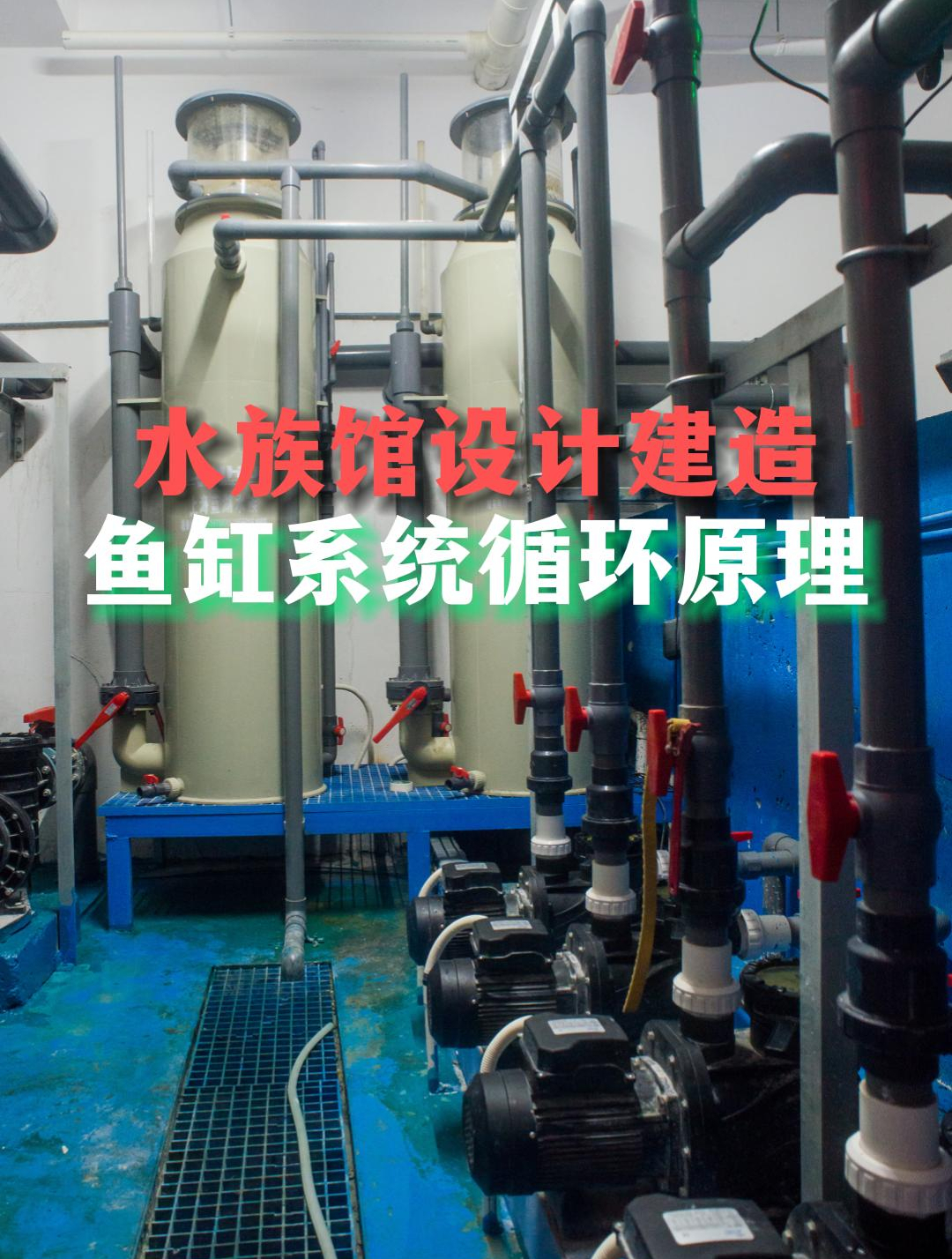 专业水族馆设计,水族馆鱼缸循环系统原理