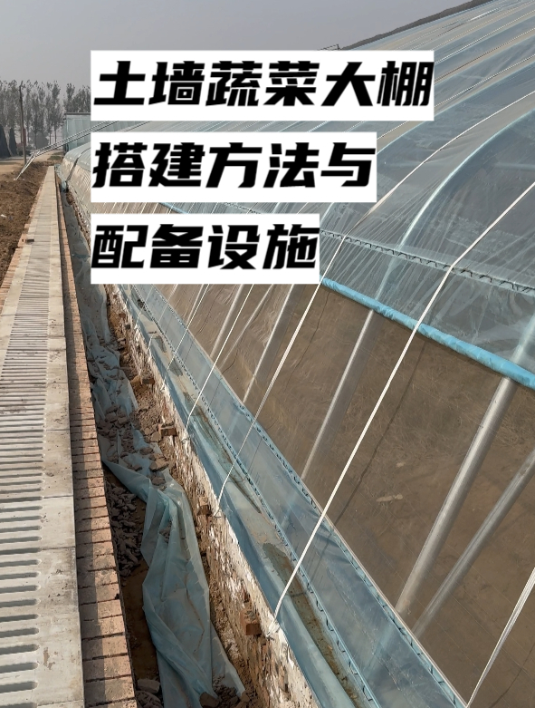 土墙蔬菜大棚搭建方法与配备设施