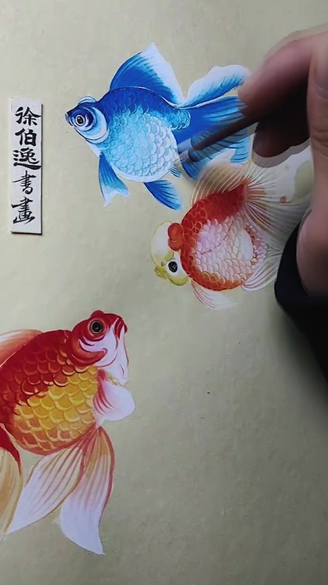 画九条鱼祝大家年年有余,新春大吉