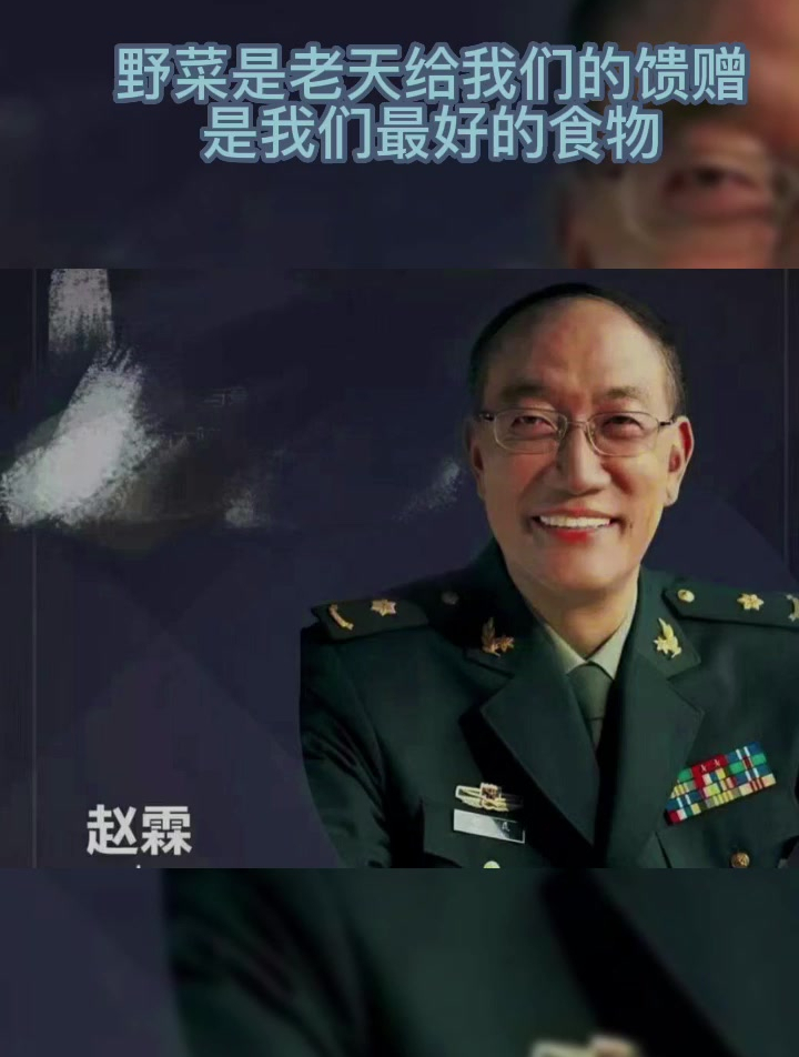 赵霖教授:野菜功效有几个能知道!