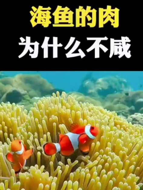 海鱼的肉为什么不是咸的?