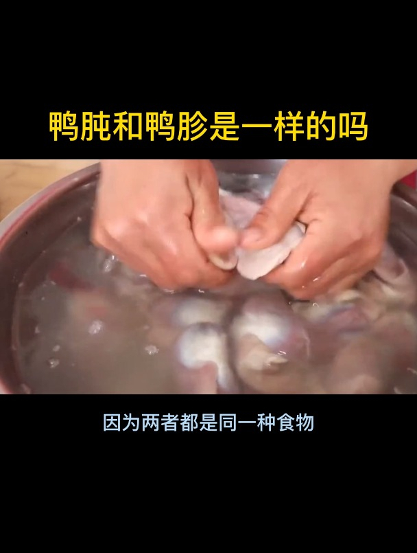 鸭肫和鸭胗是一样的吗